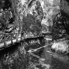 Soteska Blejski Vintgar leta 1934 - F 1934 6 2 008