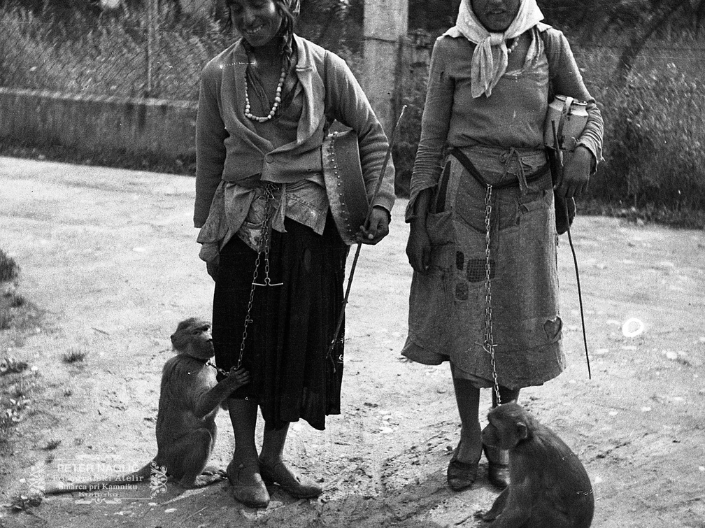 Rominji z opicama v Šmarci leta 1934 - F_1934_2_3A_002