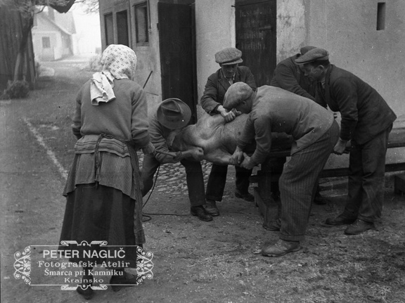 Koline pri Nagličevih, 1936 - F_1936_5_3_015