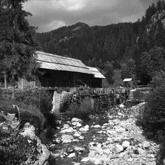 Žaga na vodni pogon na Kokri leta 1932 - F_1932_1_8_011