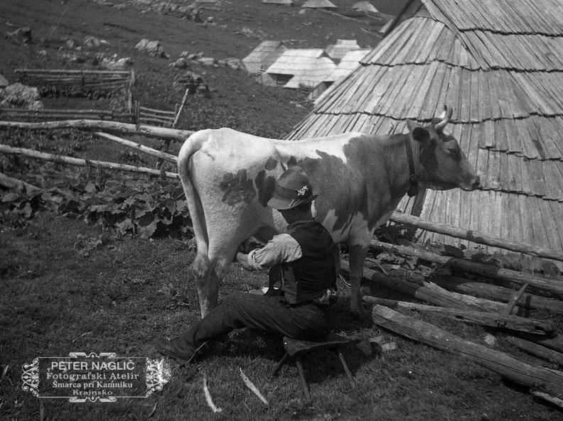 Pastir na Veliki Planini leta 1932 - F 1932 2 3 005