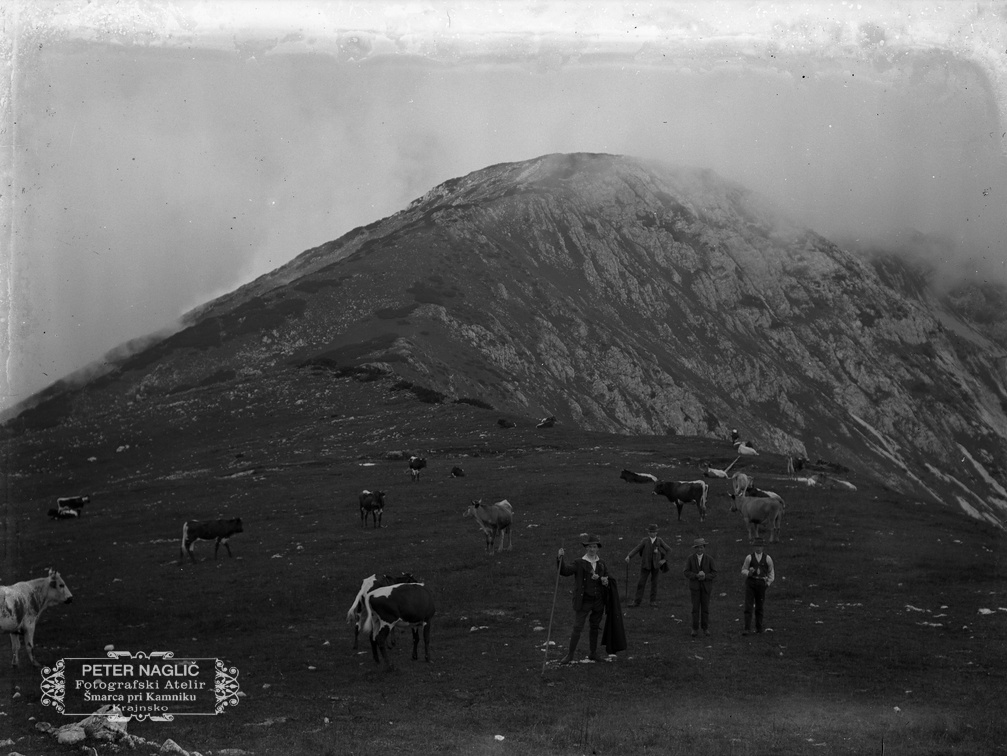 Veliki Zvoh leta 1913 - naglic872