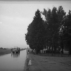 Romanje na Koroško, Knežji prestol leta 1937 - F 1937 2 31 010