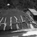 Izdelovanje oglja leta 1931 - F 1931 1 2 005