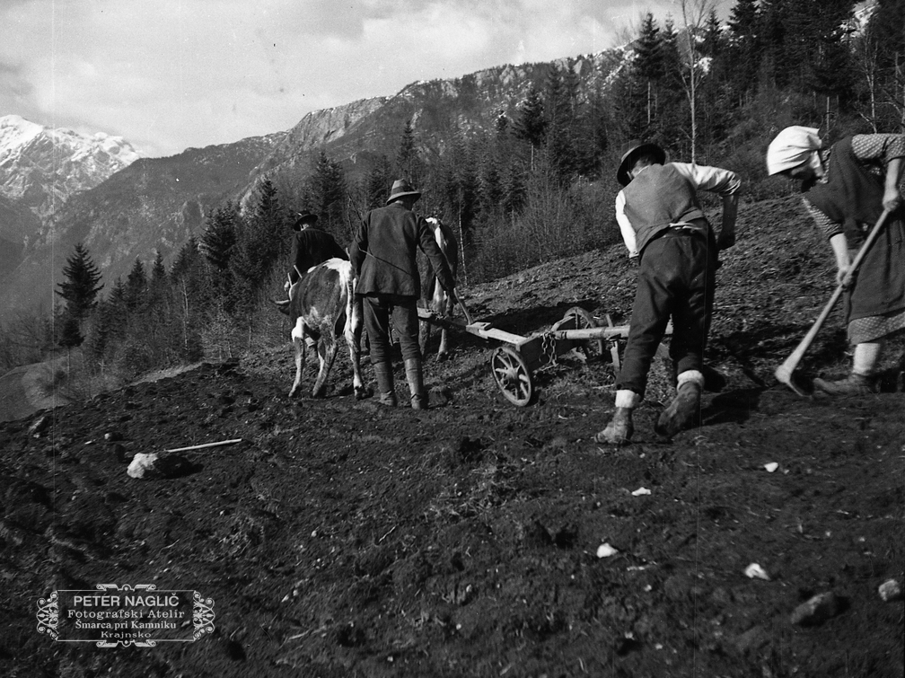 Oranje na Prapretnem pod svetim Primožem leta 1933 - F 1933 3 4 009 
