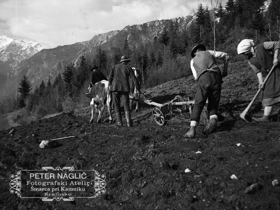 Oranje na Prapretnem pod svetim Primožem leta 1933 - F 1933 3 4 009 