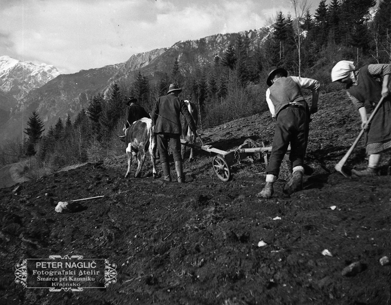 F_1933_3_4_009 - Gospodarstvo na deželi - Oranje na Prapretnem pod svetim Primožem leta 1933.jpg