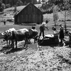Črpanje vode pod sv. Gregorjem pri Laščah leta 1933 - F 1933 3 8 009