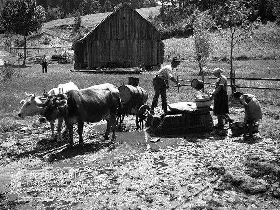 Črpanje vode pod sv. Gregorjem pri Laščah leta 1933 - F 1933 3 8 009