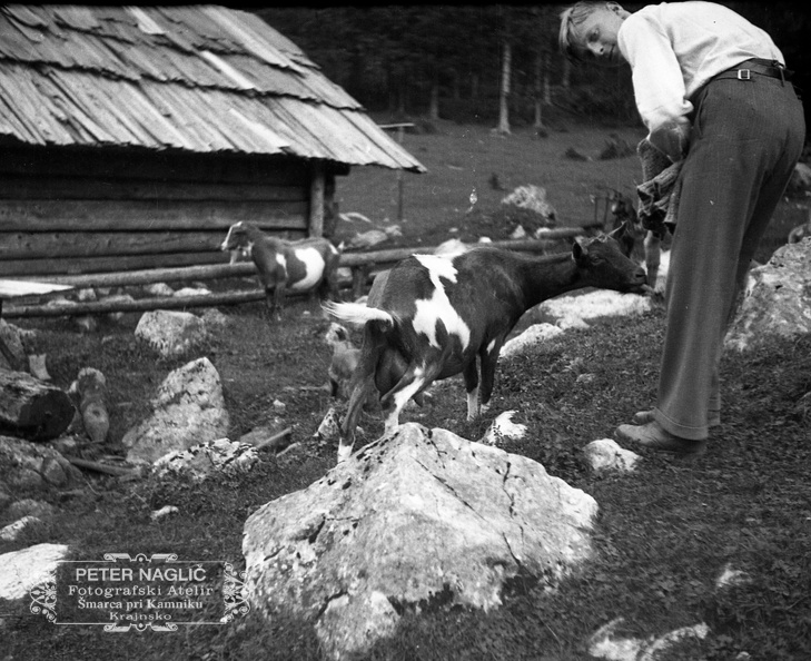 Igra s kozličkom ob koči na severni strani Kamniškega gorovja leta 1932 - F_1932_1_7_011.jpg