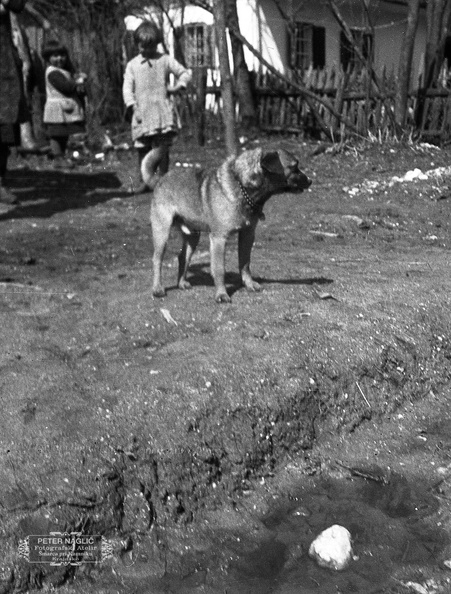 Igra s kužkom - F_1932_5_15_017.jpg