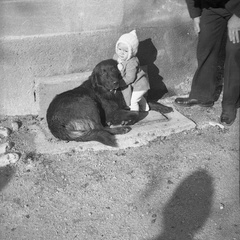 Igra s psom pri Mirku Jermanu leta 1939 - F 1939 1 33 017