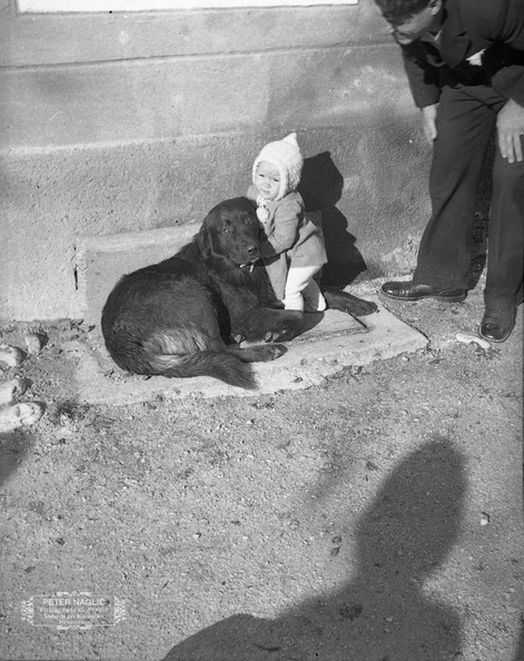 Igra s psom pri Mirku Jermanu leta 1939 - F_1939_1_33_017.jpg