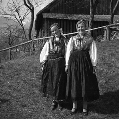 Telovadni nastop Orlov so pospremile tudi narodne noše - Naglic RA 1994
