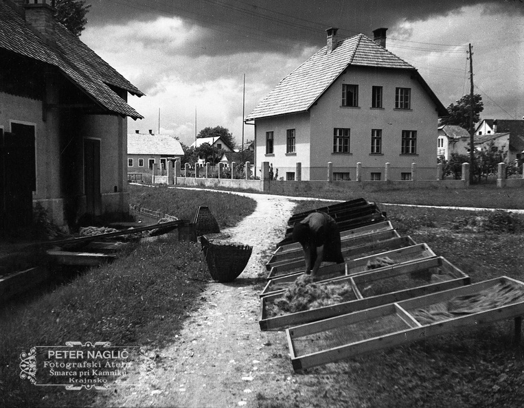Sušenje žime na tovarniškem dvorišču leta 1933 - F_1933_4_5_002.jpg