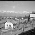 Pod Homškim hribom - Naglic RA 55 30 3828