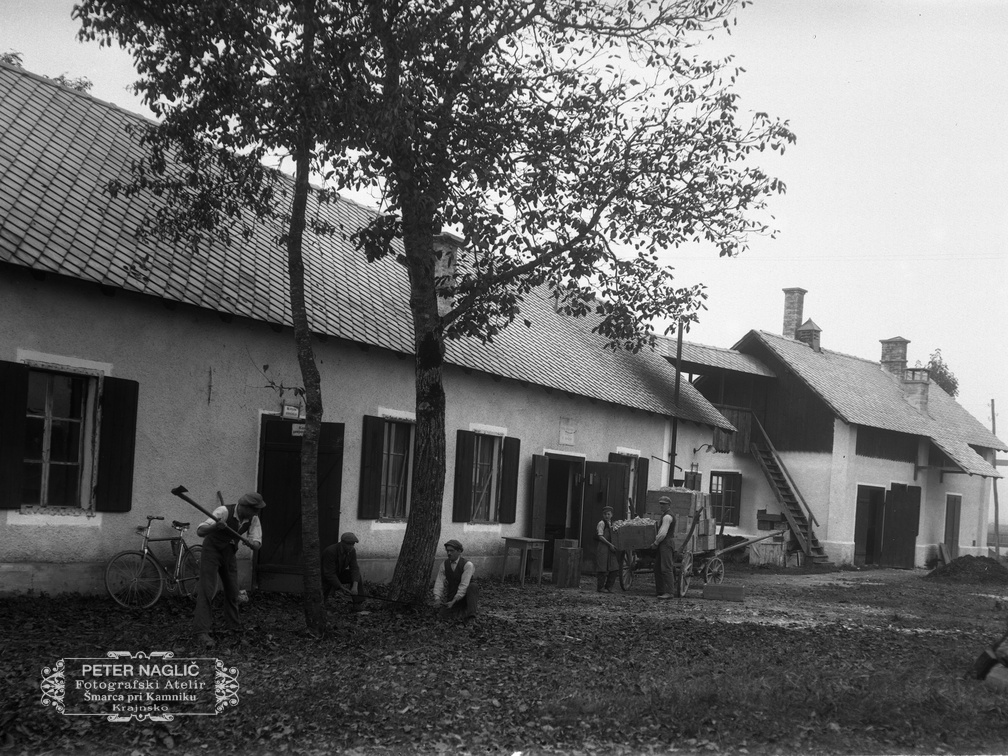 Sekanje oreha in priprave za izgradnjo turbinske hiše, oktober 1926 - Naglic013