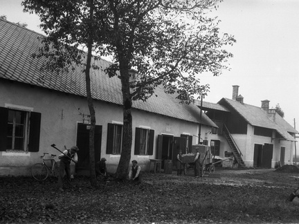 Sekanje oreha in priprave za izgradnjo turbinske hiše, oktober 1926 - Naglic013