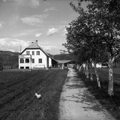 Hiša Karla Nagliča, Šmarca leta 1933 - F 1933 1 2 002