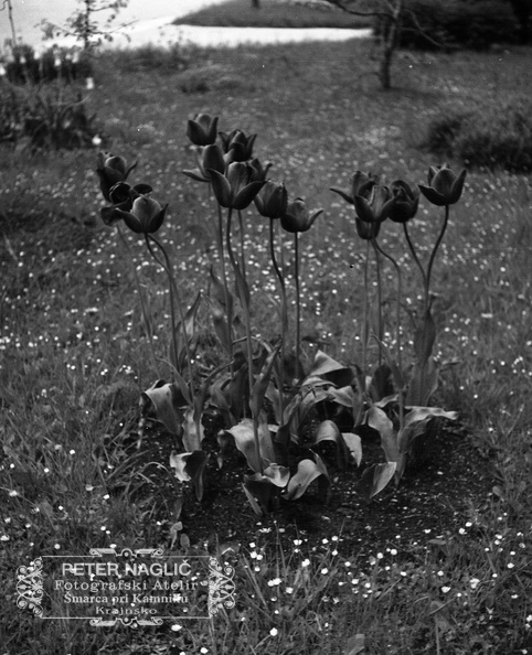 F_1933_1_2_006.jpg