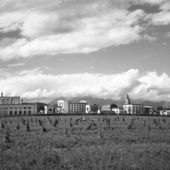Pokopališče Žale na dan odprtja leta 1940 - F 1940 1 9 006