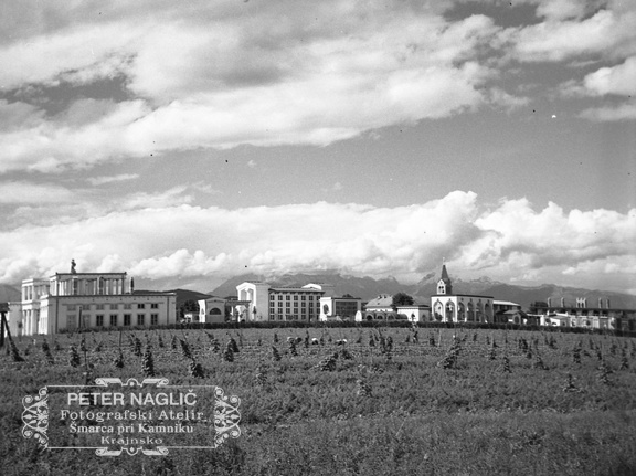 Pokopališče Žale na dan odprtja leta 1940 - F 1940 1 9 006