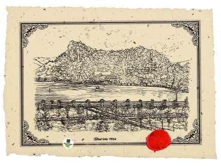 Bled - Janez Rozman, tisk, perorisba Ciril Kraigher 2022