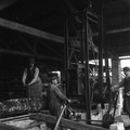 Žaganje hlodovine, Karel Humar, Tine Šarc, Matevž Švigelj - Naglic080