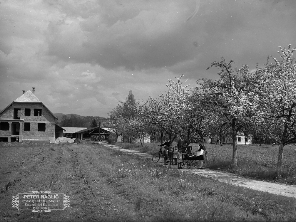 Pot k Nagličevi tovarni v času cvetočega drevja, 1929 - Naglic081