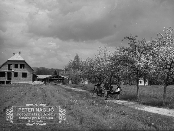 Pot k Nagličevi tovarni v času cvetočega drevja, 1929 - Naglic081