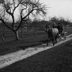 Velikonočni blagoslov jedi v Šmarci leta 1933, na vpregi župnik Govekar - F 1933 2 4 016
