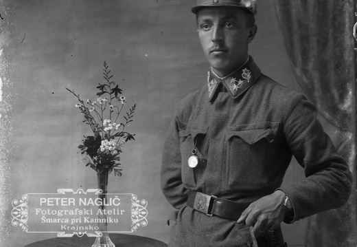 Albin Peterlin - Naglic1120