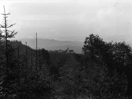 Šenturška gora s severa - naglic903