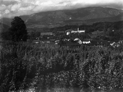 Mekinje - naglic905