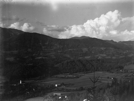 Mekinje - naglic906