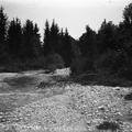 Ob bistriški strugi - naglic909