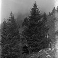 G. Vrabelj ob poti na Kriško planino - naglic873