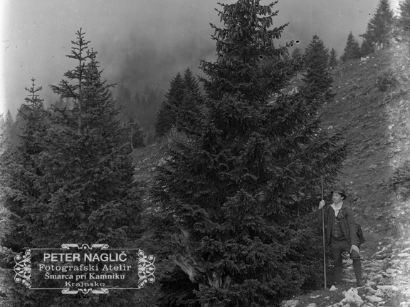 G. Vrabelj ob poti na Kriško planino - naglic873