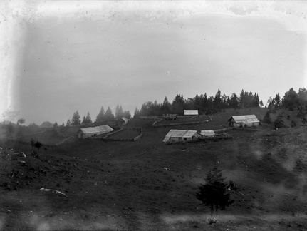 Jezerska planina ob kriški planini 1913 - naglic875