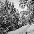 Velika noč na Homcu, 28.3.1937 - F 1937 1 1 003