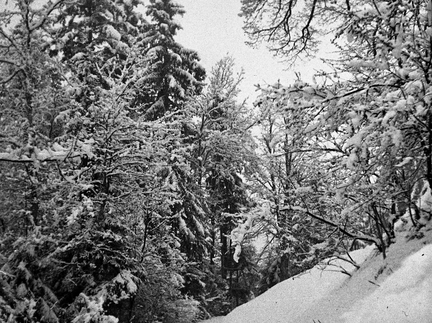 Velika noč na Homcu, 28.3.1937 - F 1937 1 1 003