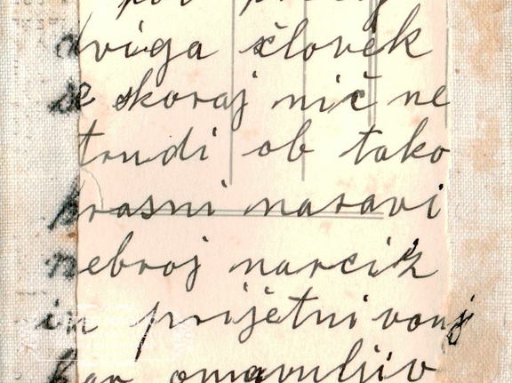 Izlet na Golico leta 1934 - F 1934 1 1 003 hrbtna stran