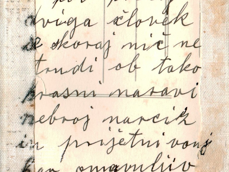 Izlet na Golico leta 1934 - F 1934 1 1 003 hrbtna stran
