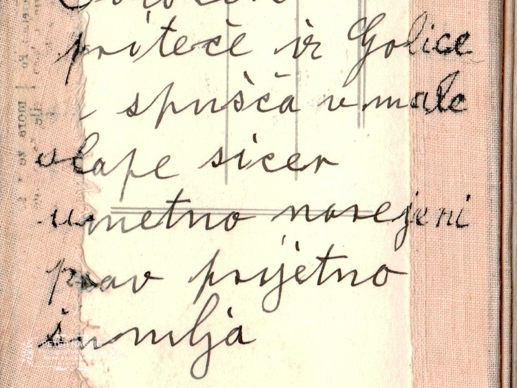 Izlet na Golico leta 1934 - F 1934 1 1 014 hrbtna stran