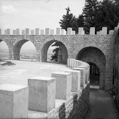 Ureditev Šanc, 1939 - F 1939 1 3 003