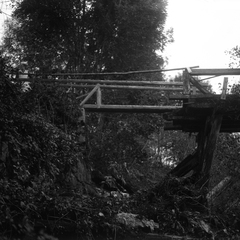 Del porušenega mostu čez Kamniško Bistrico na Duplici, okoli 1920 - naglic779